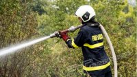 Болгария отправит своих пожарных в Северную Македонию