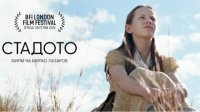 Фильм &bdquo;Стадо&ldquo; выиграл &bdquo;Королевский бенгальский тигр&ldquo; на фестивале в Колкате