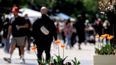 Уровень общественной напряженности немного понизился после выборов