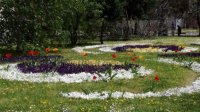 2 миллиона цветов украсят Пловдив