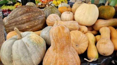 Торжественный концерт и Фестиваль добруджанской тыквы в селе Стефаново