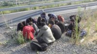 Масштабная операция против нелегальных мигрантов в Софии