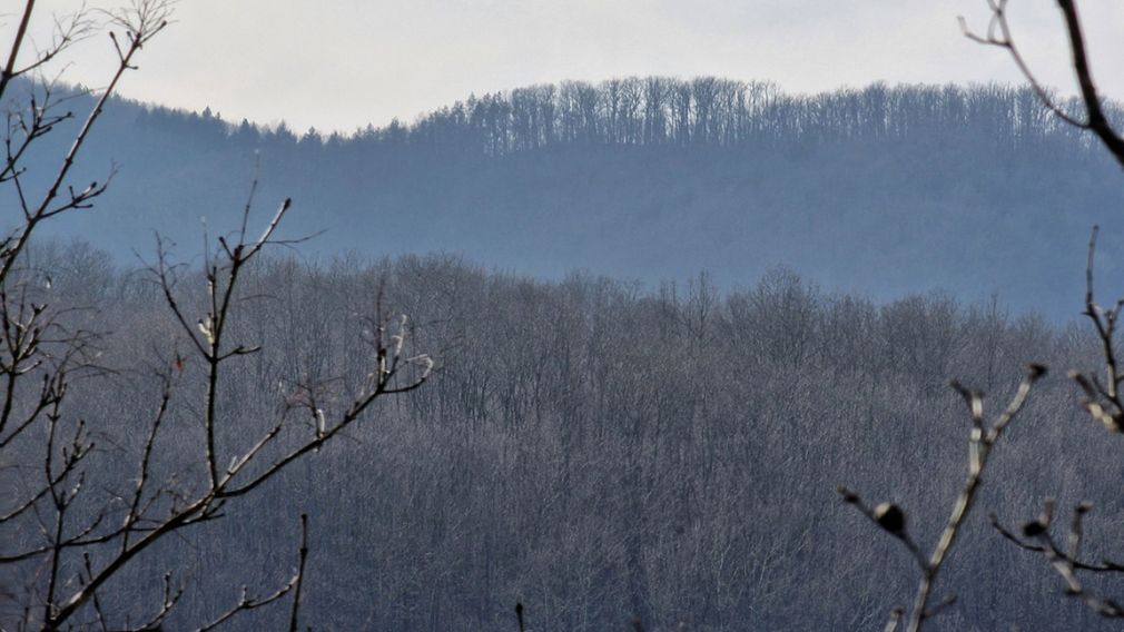 Прогноз погоды на 19 февраля 2026