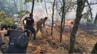 Из-за пожара в районе Свиленграда объявлено бедственное положение