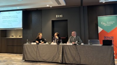 Ответственность, единство и безопасность – в Софии представили видение Германии будущего Европы