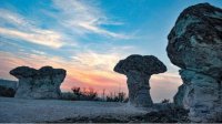 Природные феномены Каменные грибы и Окаменевшая свадьба близ Кырджали окутаны легендами