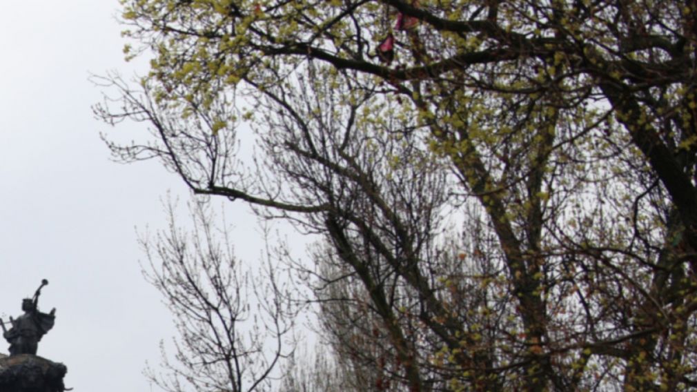 Прогноз погоды на 3 декабря 2025