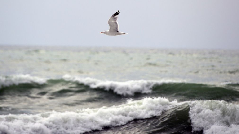 Прогноз погоды на 11 декабря 2025