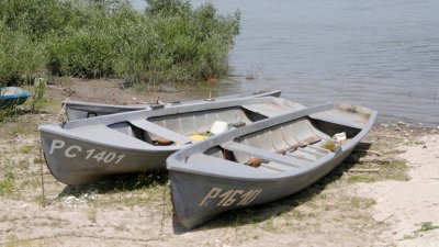 Останки мамонта были обнаружены у с. Ряхово