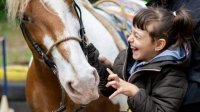 „Отличающиеся” дети организуют благотворительный базар в поддержку  конной базы