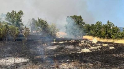 Пожар у Казанлыка ограничен