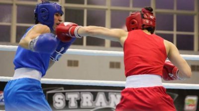 Болгария заняла первое место в зачете по медалям на турнире по боксу &laquo;Странджа&raquo;