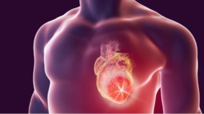 Район в Болгарии занимает первое место в ЕС по смертности от сердечно-сосудистых заболеваний