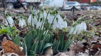 В конце февраля погода над Болгарией остается теплой для сезона, на многих местах и солнечной