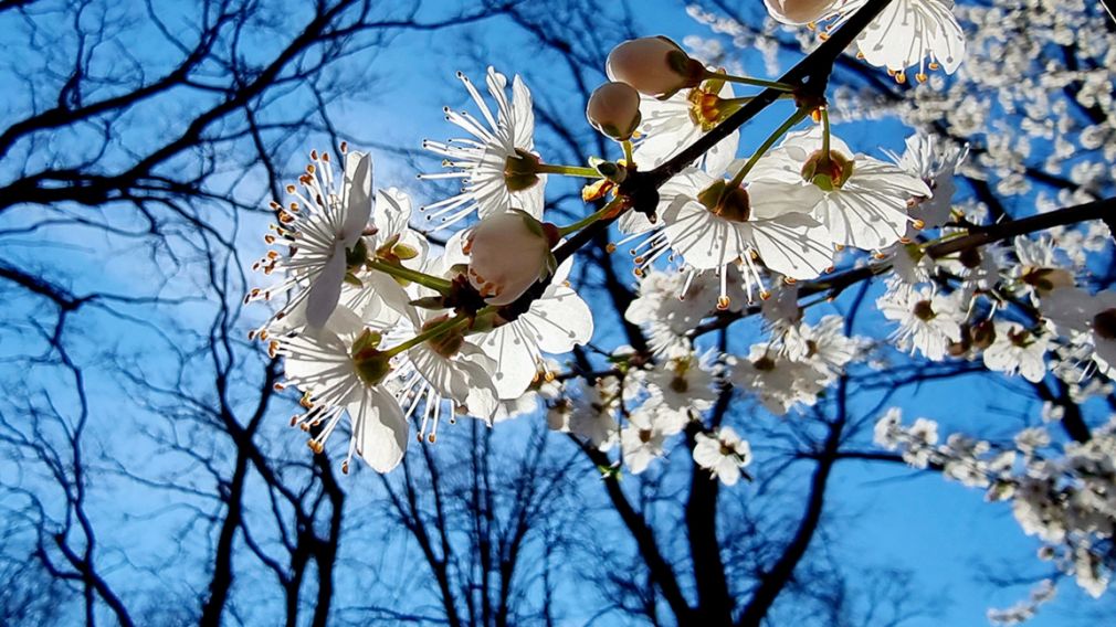 Прогноз погоды на 7 апреля 2026