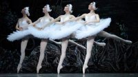 Солисты «Кремлевского балета»  в первой постановке «Лебединого озера» на варненской сцене