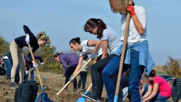 130 муниципалитетов подключились к инициативе высадки деревьев