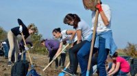 130 муниципалитетов подключились к инициативе высадки деревьев