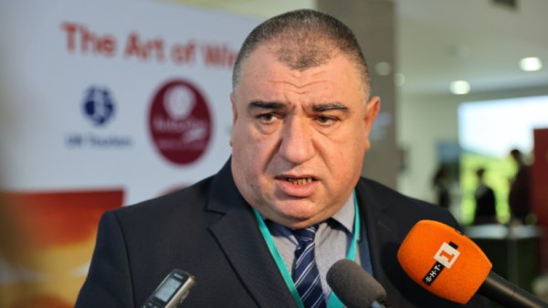 Урожай винограда в этом году перфектного качества