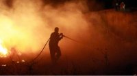 Почему каждое лето лесные пожары нас удивляют?