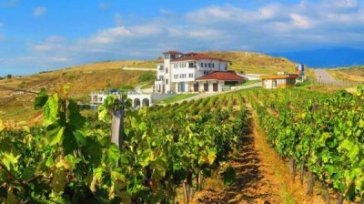 Болгарская винодельня в Топ-50 направлений винного туризма