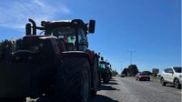 Акция протеста производителей зерна на границе с Румынией