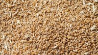 Минсельхоз предлагает ужесточить контроль над перемещением зерна