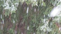 Желтый код опасности интенсивных дождей объявлен в 13 областях Болгарии