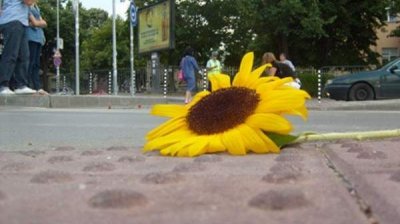 Болгария на первом месте в ЕС по числу погибших в ДТП