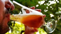 Болгария имеет право снизить НДС на пиво и вино