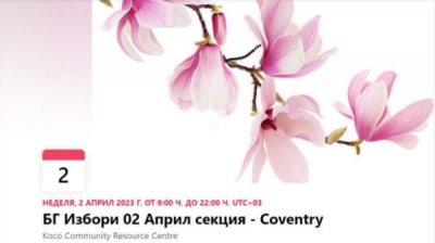 Болгары в Великобритании приглашают на выборы весенними открытками с цветами