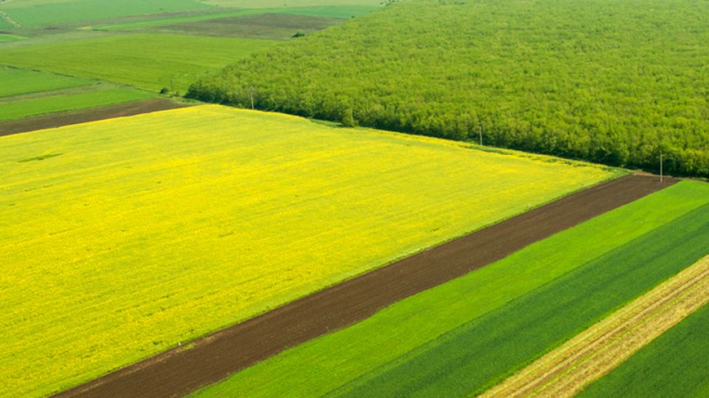 Болгария и Германия углубляют сотрудничество в области сельского хозяйства