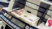 Болгары держат в банках более 75 млрд евро, растут и денежные переводы мигрантов