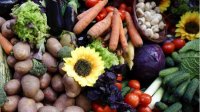 Кооперируясь, производители фруктов и овощей получат равный доступ к рынку