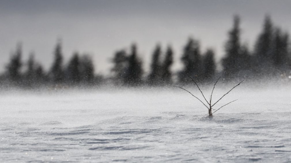 Желтый уровень погодной опасности в Восточной Болгарии и Южных Родопах