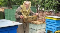 Пчеловодство – хобби и бизнес