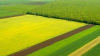 Болгария – лидер в Европе по раздробленности сельхозземель
