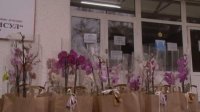 50 орхидей в знак признательности болгарским врачам