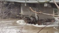 4 области на юге страны пострадали от обильных осадков и разлившихся рек