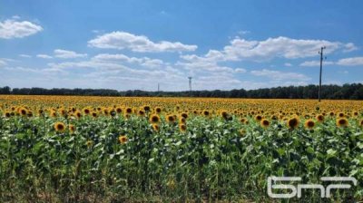 Температура вновь превысит 30 градусов