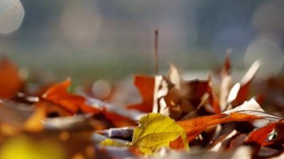 Тепло, с ветром и вероятностью осадков на юго-востоке