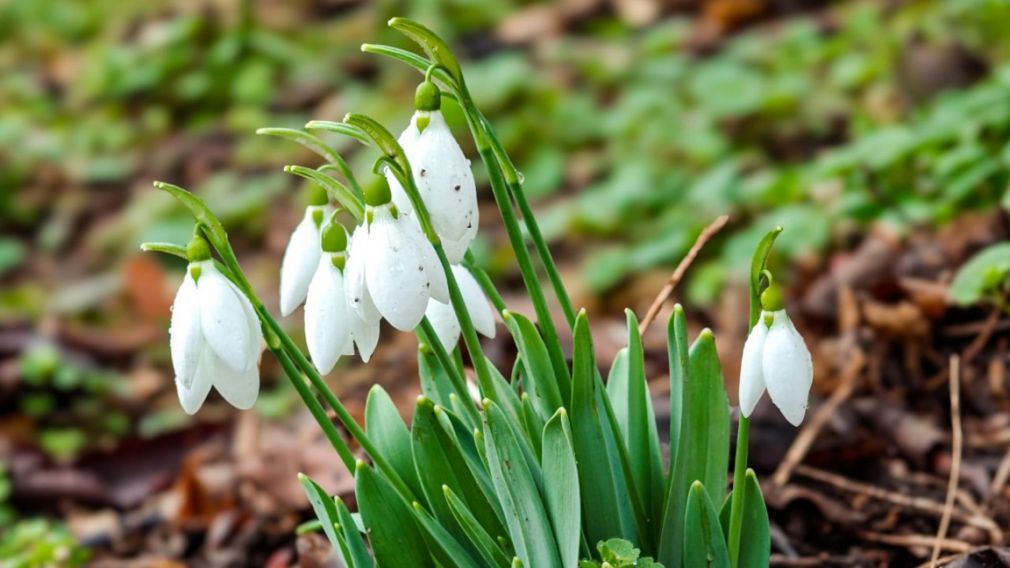 Прогноз погоды на 11 февраля 2026