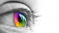 Трое болгар изобрели приложение для «цветового зрения»