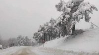 Пятница со снегом и ветром