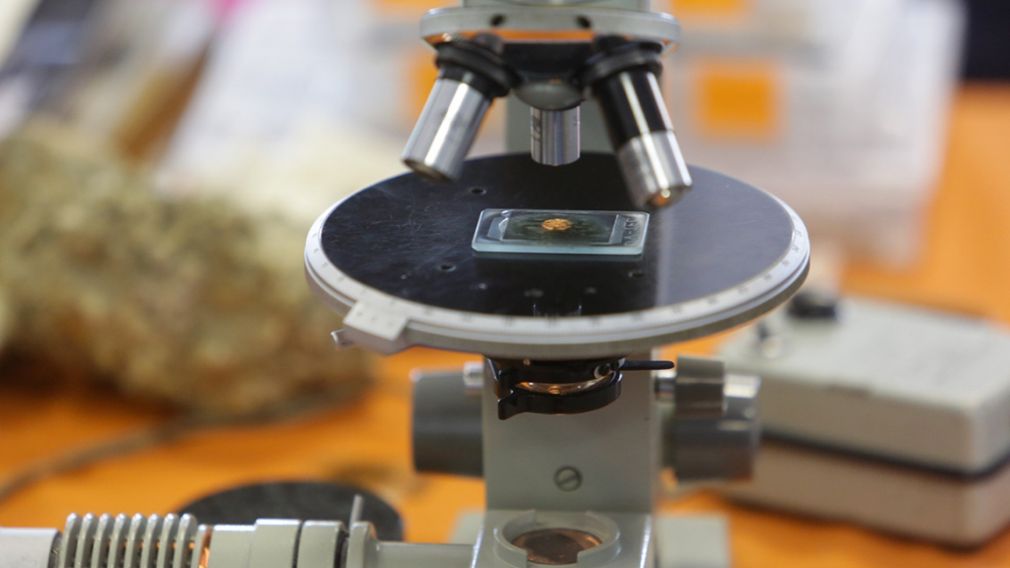 В Бургасе в 2026 году откроется Геномный центр