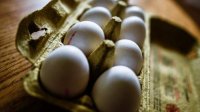 Почти 250 000 яиц с фипронилом изъято со склада в Пловдиве