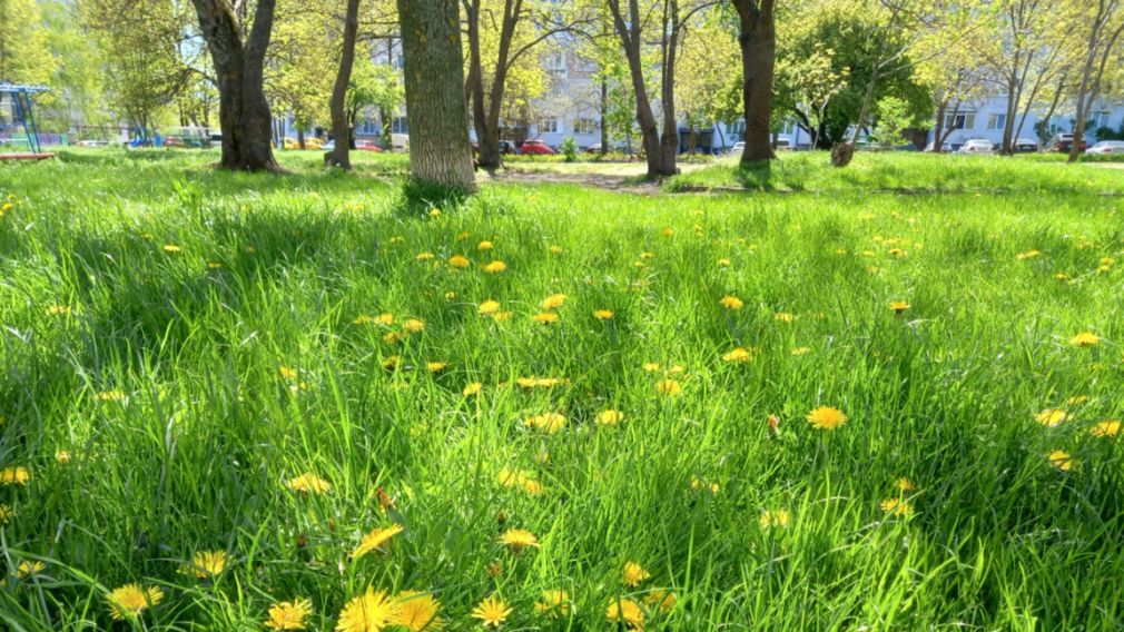 Прогноз погоды на 1 мая 2026