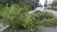 Грозовые ливни обрушились на Софию