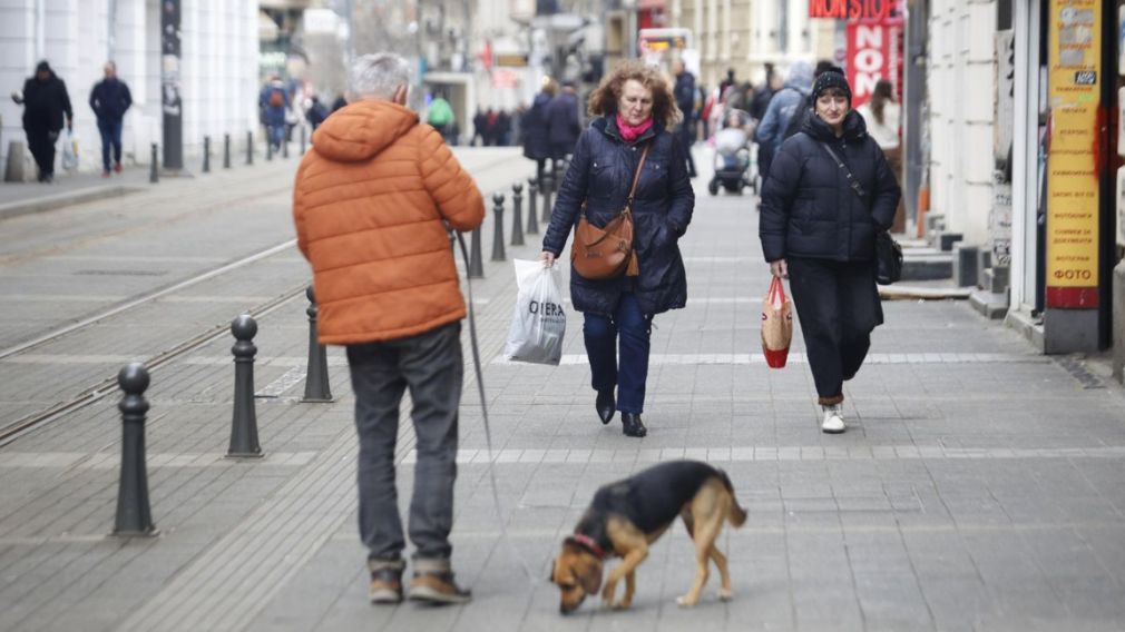 В выходные дни будет облачно и дождливо, в горах &ndash; снег