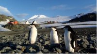 «Антарктическая кухня» – «вкусный» рассказ о жизни полярников